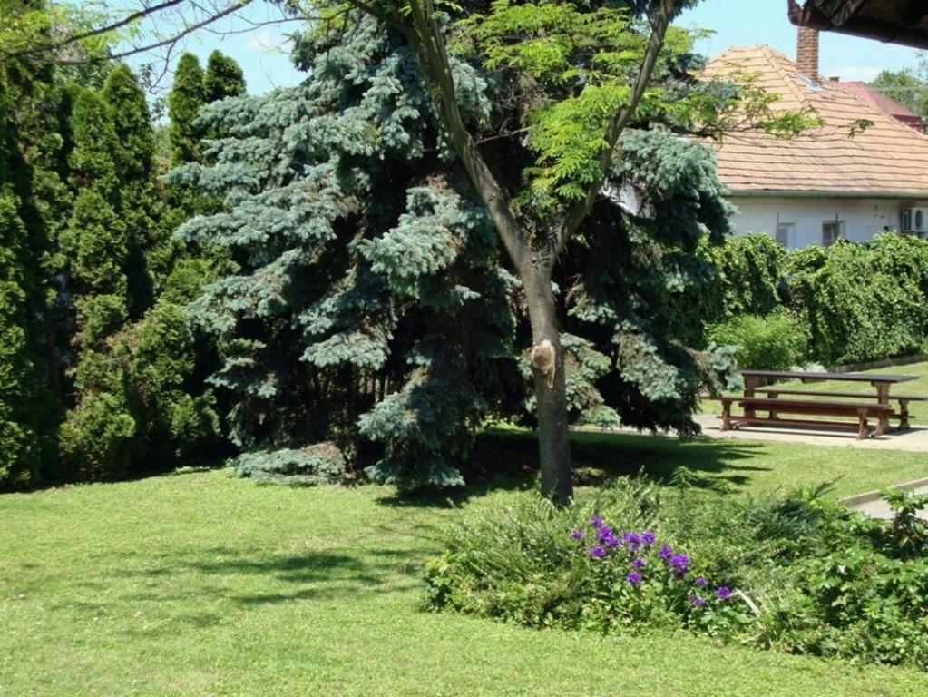 Gyoengyvirag Vendeghaz Balatonboglár Exterior photo